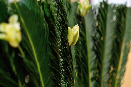 58970aab5612a_70186002890_6.jpg